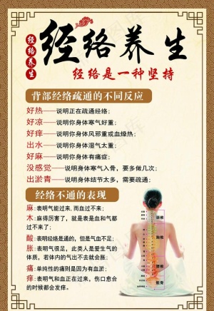 经络养生图片