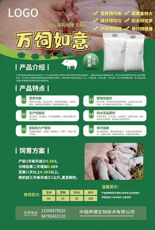 猪饲料海报图片