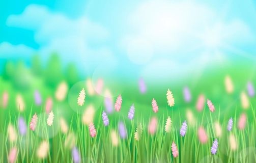 花朵背景 植物图片