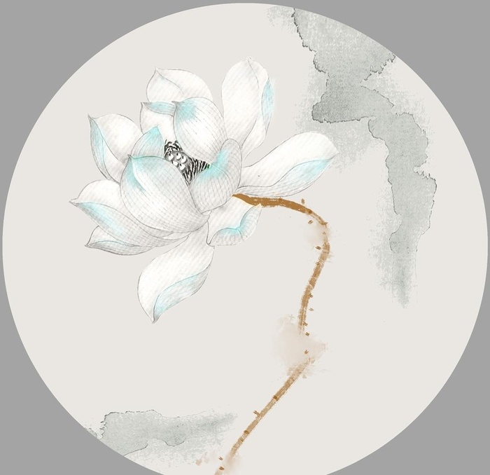 荷花图片(5000x5000)psd模版下载