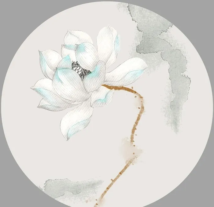 荷花图片(5000x5000)psd模版下载