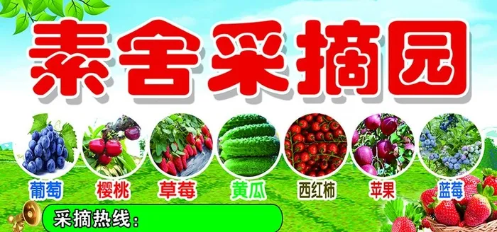采摘园图片(3937x1969)psd模版下载