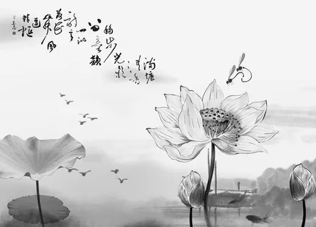 荷花水墨画图片