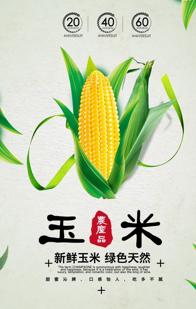 玉米海报图片