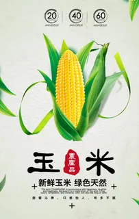 玉米海报图片