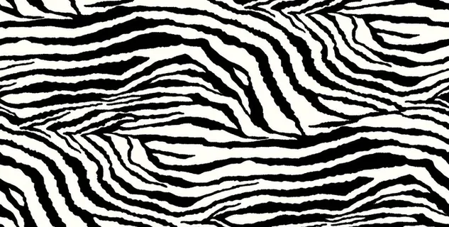 斑马纹图片