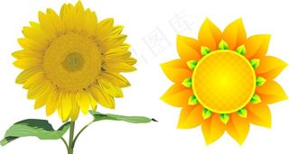 向日葵图片