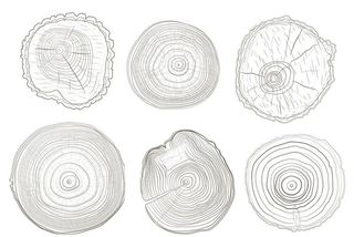 木纹 木纹木板矢量 木板木纹图片