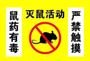 灭鼠活动图片