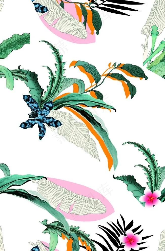 热带花卉图片
