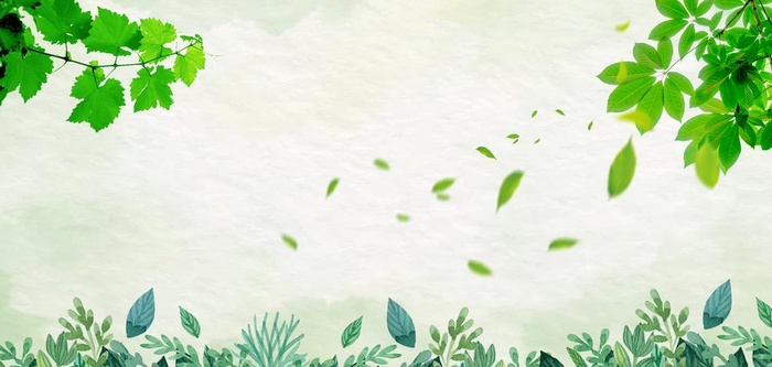 树叶绿色插画卡通自然护眼背景图片