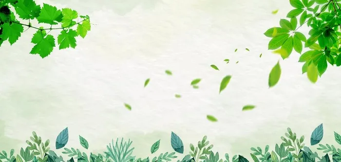 树叶绿色插画卡通自然护眼背景图片