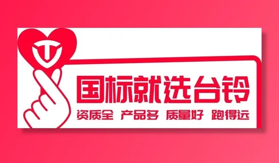 国标车选台铃  台铃电动车图片