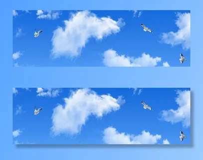 蓝天白云鸽子图片 蓝天白云鸽子图片