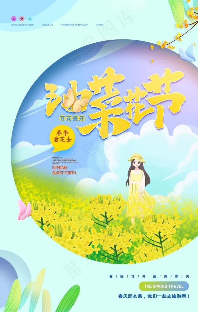 油菜花图片