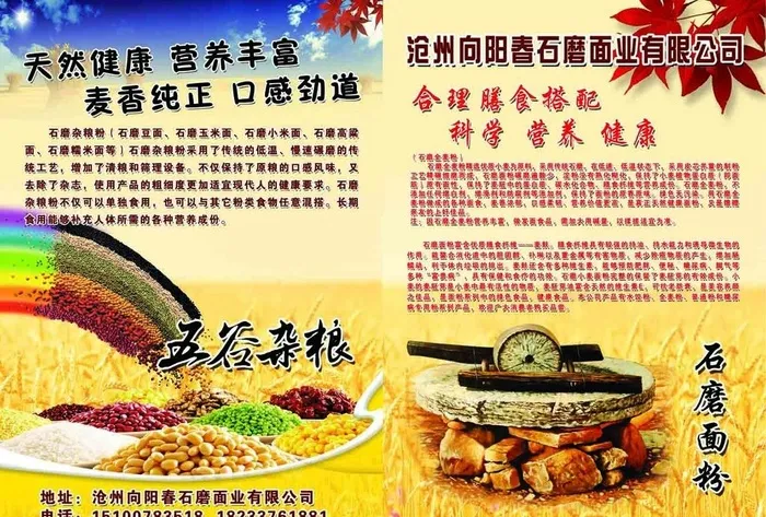 五谷杂粮 面粉 彩页图片(4961x3508)psd模版下载