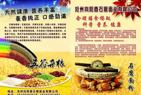 五谷杂粮 面粉 彩页图片