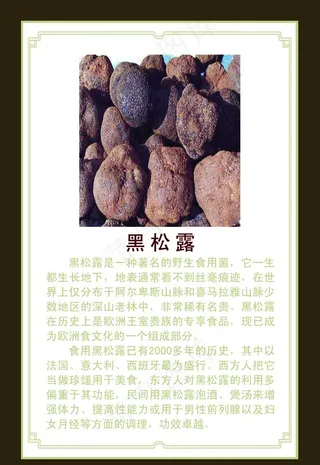 黑松露介绍图片
