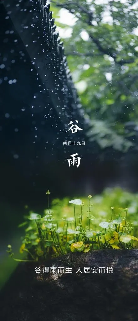 谷雨节气海报图片(1772x3839)psd模版下载