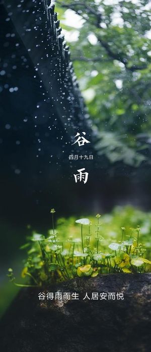 谷雨节气海报图片