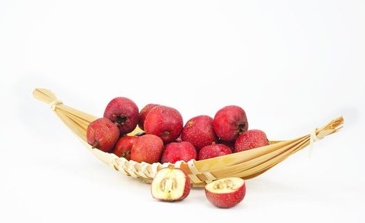 山楂摄影素材图片