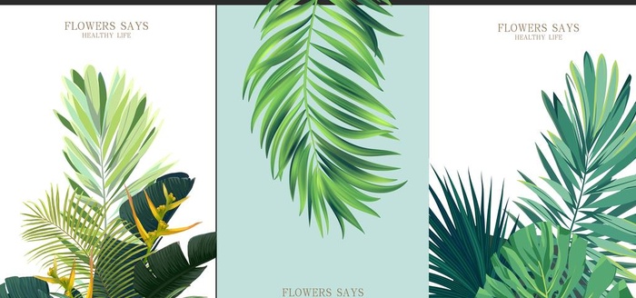 热带植物花草装饰挂画图片