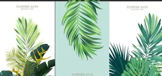 热带植物花草装饰挂画图片