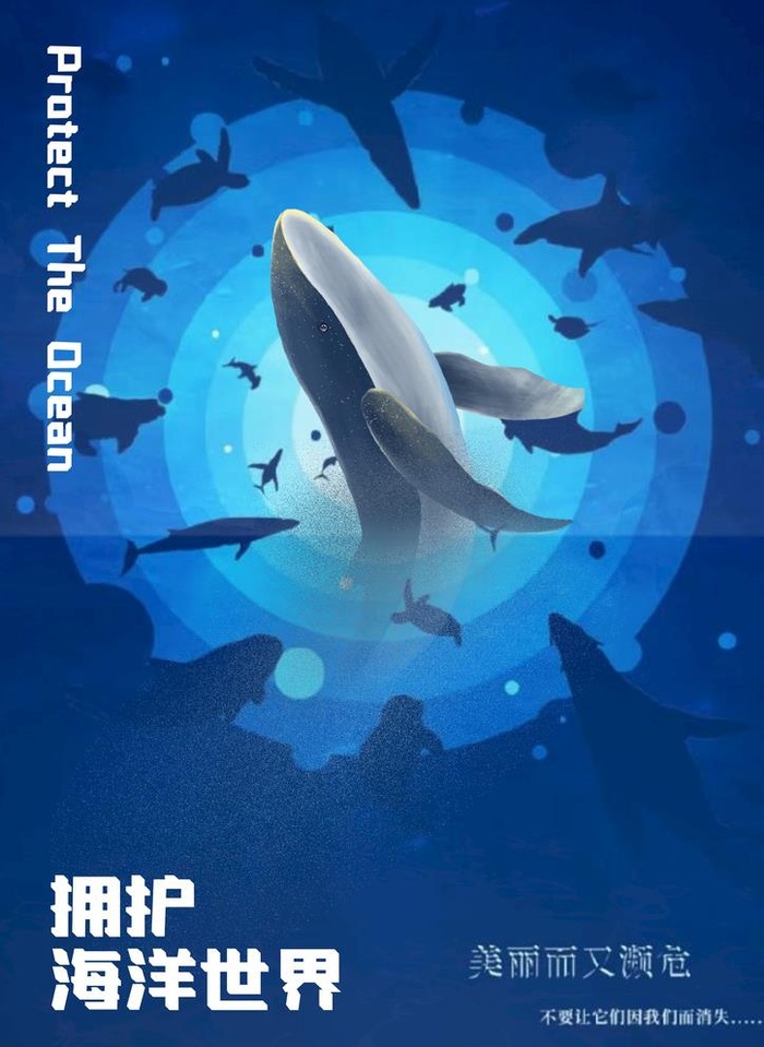 保护海洋图片(2480x3508)psd模版下载