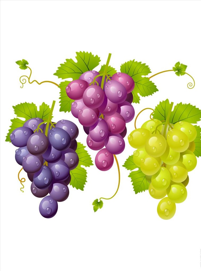葡萄图片