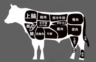 牛分割图图片