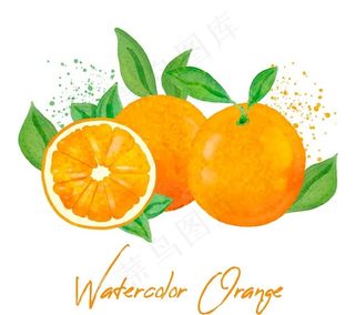 彩绘新鲜橙子图片