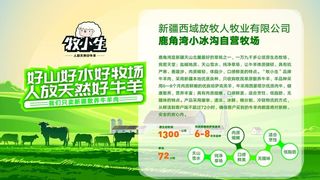 新疆牛羊肉海报图片