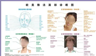 养生面诊穴位图图片
