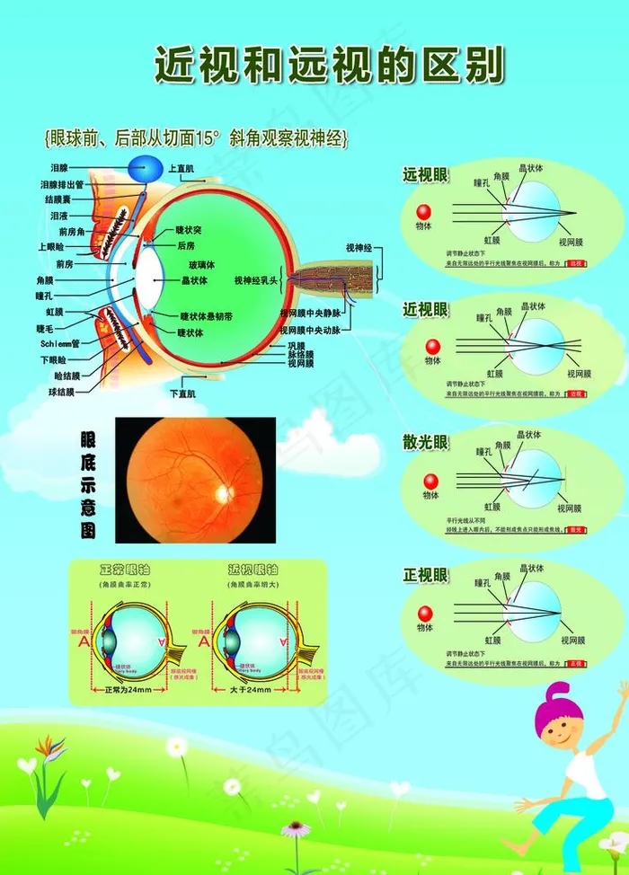 护眼 养护 合层介意误下图片