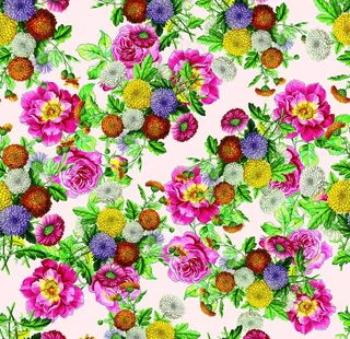 大牌花 素材超清图片