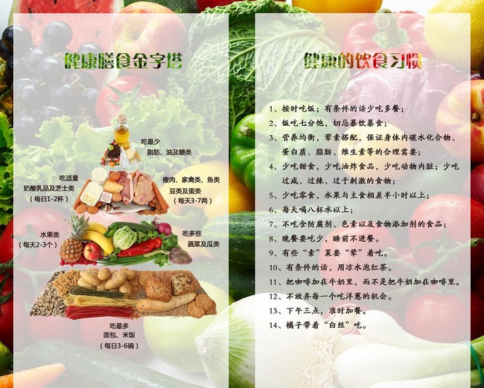 食品金字塔图片