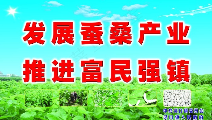蚕桑图片(5906X3543(DPI:30))psd模版下载