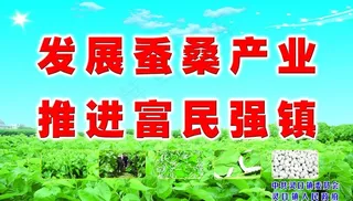 蚕桑图片