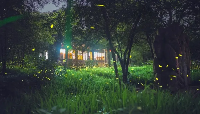 绿色森林建筑图片