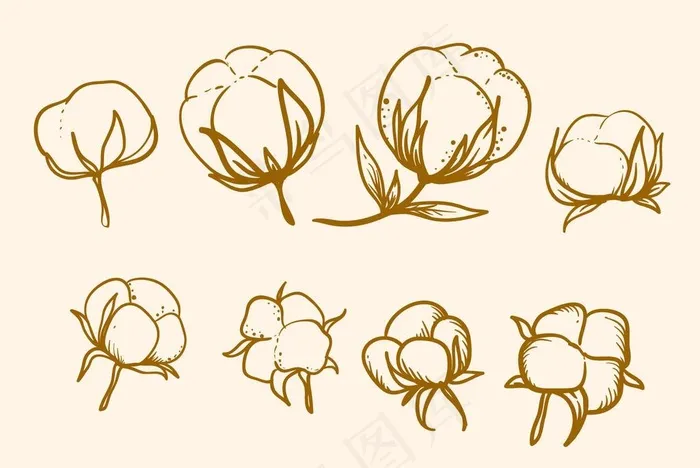 棉花 手绘棉花 棉花矢量图 花图片eps,ai矢量模版下载
