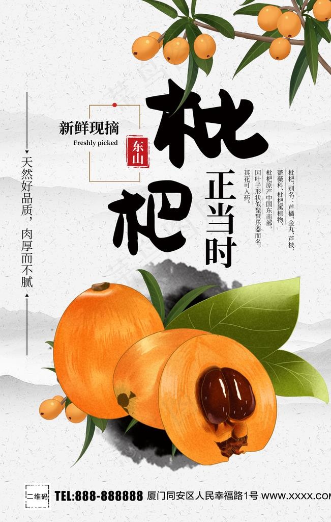 枇杷图片(3543x5315)psd模版下载
