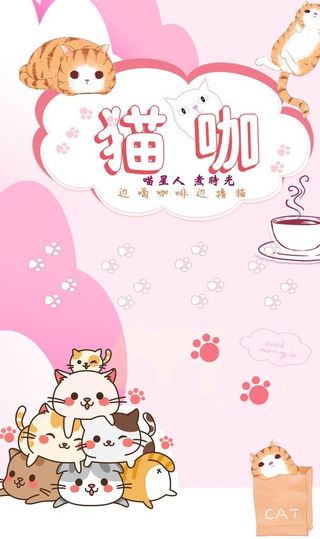 猫咖图片