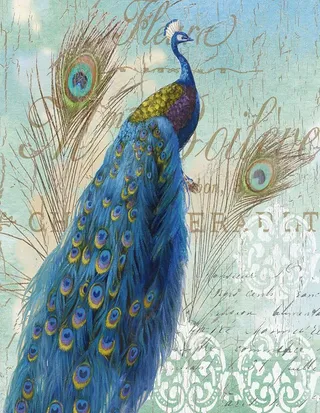 孔雀装饰画图片