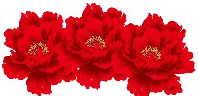 牡丹花 矢量图片