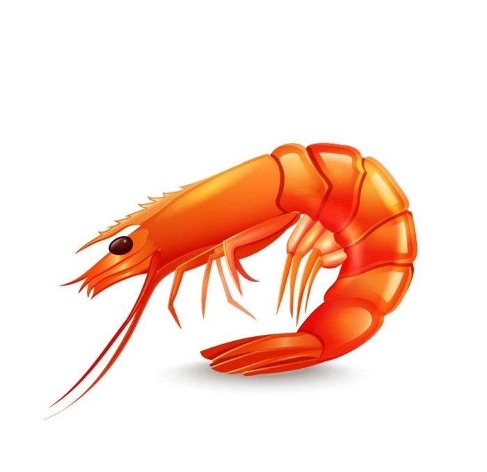 卡通美味虾设计矢量素材图片