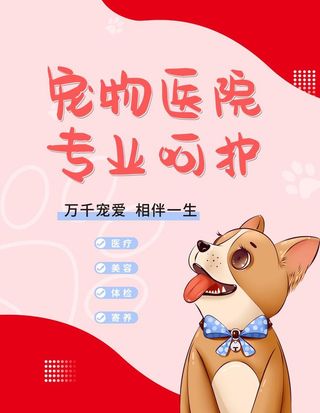 宠物海报 图片