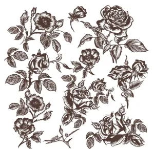 线描玫瑰花图片