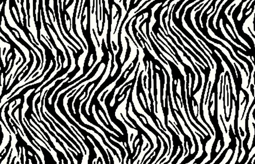 斑马纹图片