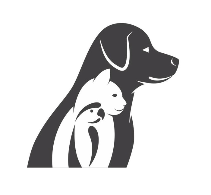 矢量动物剪影图片