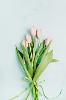 鲜花图片 鲜花图片